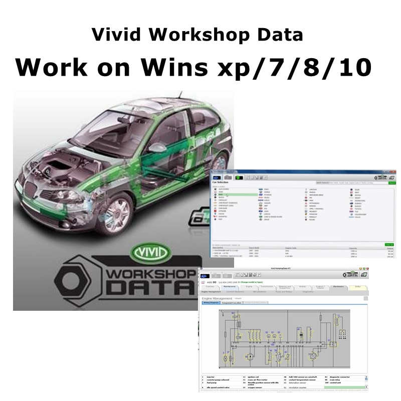 2018 o 2010 Automotive Vivid W - Workshop Tools English recensione e prezzo
